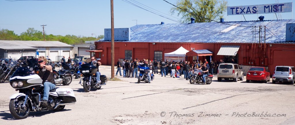 Bunny Run at Texas Mist