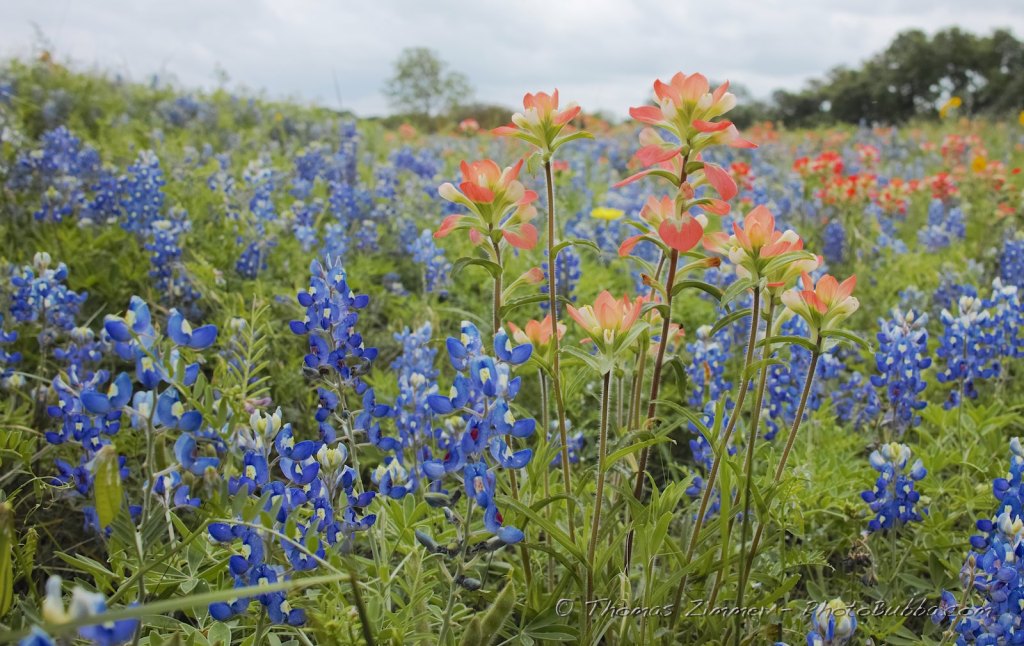 COC&I State Rally in Hondo – Sunday