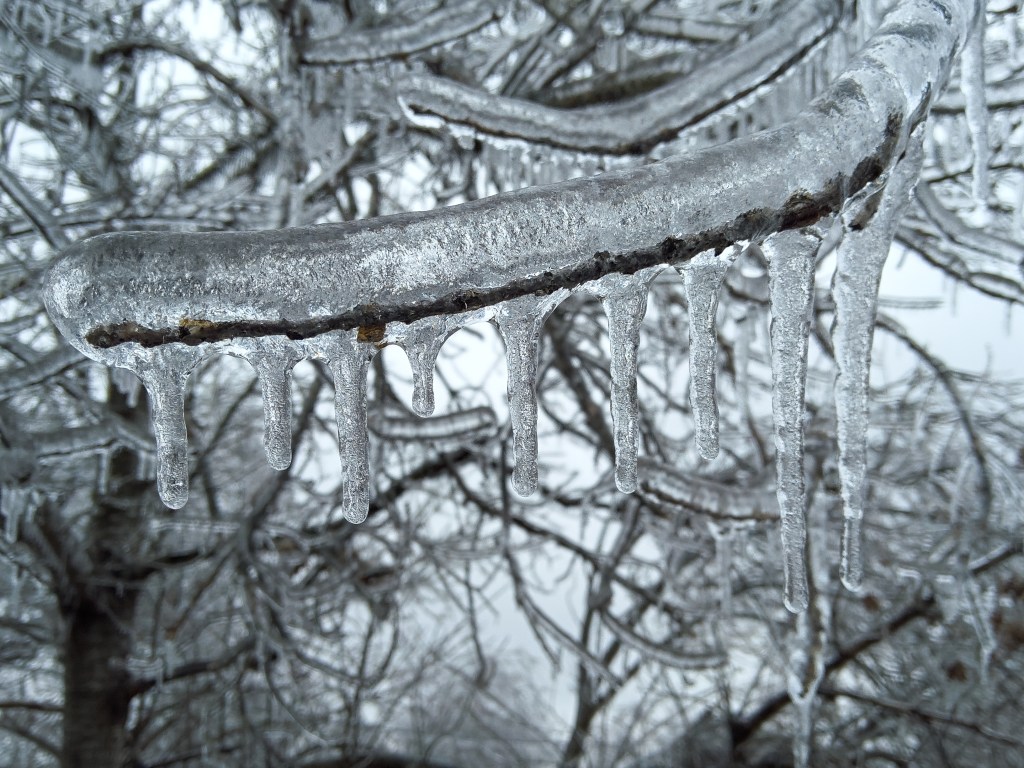 Ice in Bartlett